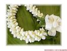 Tropical Hawaiian Wedding Bouquet