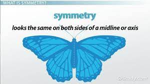 Depending on species, they can thrive in coastal and tidal waters or in the abyssal depths of ocean what does a sponge do? What Type Of Symmetry Do Sponges Have Study Com