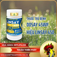 Dosay 45WP