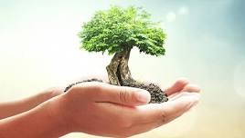 Waste Management: A Modern and Sustainable Approach