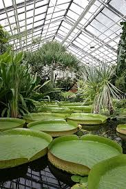 Hier stellen wir den botanischen garten der universität leipzig vor. Botanischer Garten Jena Wikipedia