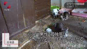 We did not find results for: 10å¹³ç±³çš„æˆ¿é—´é‡Œå±…ç„¶å…»äº†163åªçŒ« è¿™äº›ä»¥çˆ±ä¹‹åçš„ä¼¤å®³ç®€ç›´å¯æ€• ç•™å›­æ–°é—»é€Ÿé€'news
