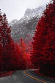 Las Mejores Imagenes Que Te Muestran La Belleza De La Naturaleza Puedes Usarlas Como Fondo De Pantalla O Nature Wallpaper Nature Photography Scenery Wallpaper