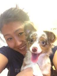 Moses Percy, DDS, 160 E 32nd St, Ste 103, New York, NY 10016, US