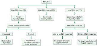 Pin On Clinical Pathology