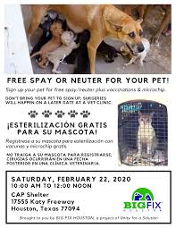 The spca will spay for low cost or if you can proove financial hardship they may even do it for free. Big Fix Houston 2020