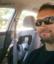 Lost Blue Nose Pit Bull in Hatcher and Central area