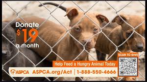 Jaz - The ASPCA is a Legit Animal Rights Group, NOT an Anti-Gun Group, BUT  you're better off making a donation to your local shelter. | Facebook