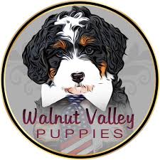 See 2 traveler reviews, 3 photos and 1 blog post. Walnut Valley Puppies Reviews Facebook