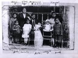 The House On The Hill: Digging Into My Palo Verde Roots