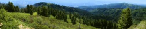 We'll have it back up and running as soon as possible. Connecting Dirt From Seaman S Gulch To Bogus Basin Road Mountain Biking Boise