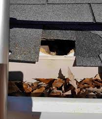 Check spelling or type a new query. What Kind Of Damage Can Birds Animals And Trees Do To Your Roof