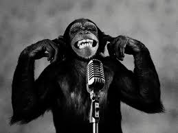 Black And White Monkey Pictures Cute Funny Wallpapers Of Monkeys Dieren