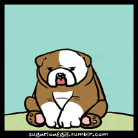 We did not find results for: Bulldog Illustration Gifs Get The Best Gif On Giphy