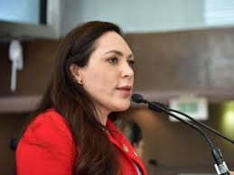 Va Georgina Zapata por dirigencia estatal del PRI