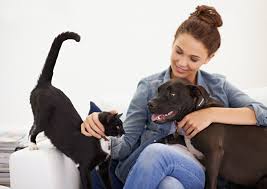 What makes your cat sitter so purrfect? 6 Questions To Ask Before Hiring A Pet Sitter Policygenius