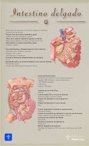 Pin En Medicine