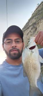 What's a good spinning lure for stripped bass??