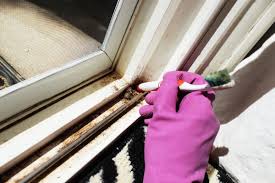 Check spelling or type a new query. How To Clean Window Tracks To Be Squeaky Clean