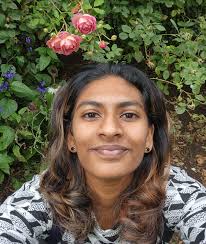 Vincent Research Group