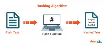 Hashing Vs Encryption Vs Encoding Explained By Experts
