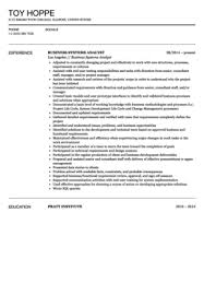 Business Systems Analyst Resume Sample Resume Examples Teacher Resume Examples Resume