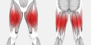 The hamstring muscles in the back of the thigh, the quadriceps muscles in the front, and the adductor muscles on the inside. Thigh Pain The Complete Injury Guide Vive Health