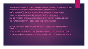 Große auswahl an stoff in regenbogenfarben 4 6. Hunde Mein Lieblingstier Ist Der Hund Es Gibt