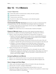 Chromosome disorders can be divided into two categories: Https Www Barnesville K12 Mn Us Cms Lib Mn02204890 Centricity Domain 93 Bio 10 11 4 Ws 10 11 Pdf