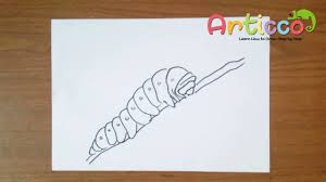 Apr 24, 2018 · start with the end of the circle and go back the same way you came. How To Draw Caterpillar Step By Step Youtube