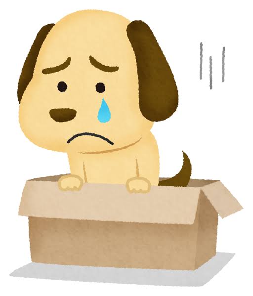 Abandoned dog