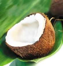 Coconuts Coconut Benefits Healing Food Coconut