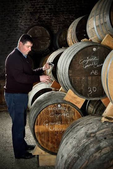 Cognac 1996 Méry Melrose Valdor74