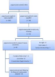 Patient Recruitment Flow Chart For The Malaria In Pregnancy