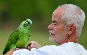 This is Pancho. Isn't he so bonito? 💚