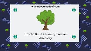 How to build a family tree. How To Build A Family Tree On Ancestry Who Are You Made Of