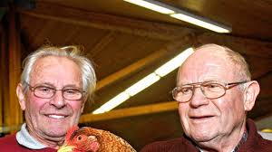 Gackern und Gurren um die Gunst der Jury