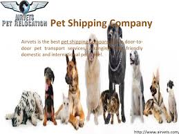 International shoppers petsmart purchase and shipping is easy like this, so do not hesitate to try usgobuy forwarding services for your petsmart founded in 1986, petsmart now is the top pet supplies and services provider in usa and canada. Pet Shipping Company By Airvets Issuu