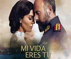 Sinopsis Telenovela Mi Vida Eres Tu Telenovela Ver Novelas Online Vida