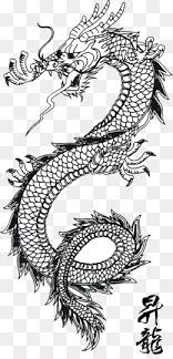 Maybe you would like to learn more about one of these? Dragon Tattoo Png Dragon Tattoo Designs Cleanpng Kisspng