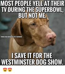 38 Funniest Memes About Dog Shows Funny Dogs Dog Show Funny Dog Memes