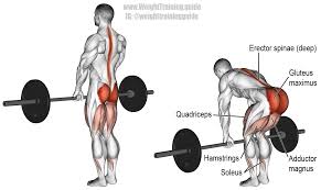 An effective romanian deadlift substitute is going to target similar muscle groups to the romanian deadlift. Romanian Deadlift Exercise Instructions And Video Weight Training Guide Stiff Leg Deadlift Fitness Body Lower Body Workout