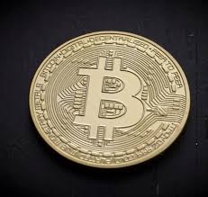 Transactions are verified by network nodes through cryptography and recorded in a public distributed ledger called a blockchain. Does Your Portfolio Need Bitcoin Morningstar