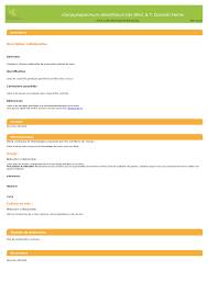 Image result for Campylospermum densiflorum