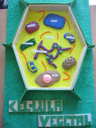 Cell Model Shoebox How To Make A 3d Plant Cell Model Out Of Household Items Plant Cell Made Out Of A Shoebox Plant Cell Project Plant Cell Plant Cell Model
