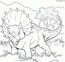 En je bepaalt helemaal zelf welke kleuren ze krijgen. Dinosaurus Kleurplaat Kleurplaten 542 Kleurplaat Kleuren Net