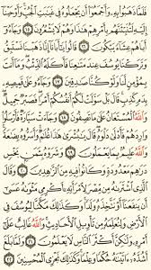 سورة يوسف الجزء الثاني عشر الصفحة 237 Quran Verses Verses Quran