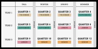 Quarter Of A Quantity | How Many Quarters In One | Fractions For Year One -  Youtube