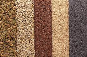 Empire Nuts Fruit On Twitter Edible Seeds Superfood Seeds Watermelon Nutrition Facts