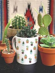We recommend using grow lights that have. Cactus Mug Plants By Glacelis Vasos De Flores Cacto Decoracao Cactos E Suculentas